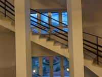 PXL_20220104_074728800.jpg PXL_20220104_074728800.jpg