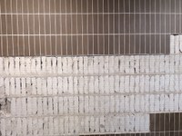 PXL_20220104_080002022.jpg PXL_20220104_080002022.jpg