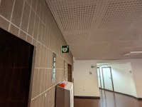 PXL_20220104_080700356.jpg PXL_20220104_080700356.jpg