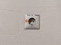 PXL_20220104_081138798.jpg PXL_20220104_081138798.jpg