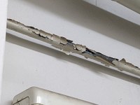 PXL_20220104_081438968.jpg PXL_20220104_081438968.jpg