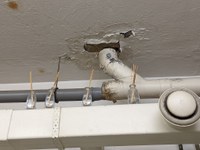 PXL_20220104_083353430.jpg PXL_20220104_083353430.jpg