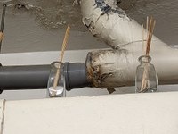 PXL_20220104_083412719.PORTRAIT.jpg PXL_20220104_083412719.PORTRAIT.jpg